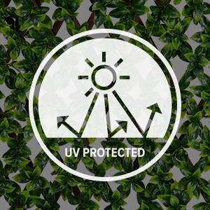 UV Protection