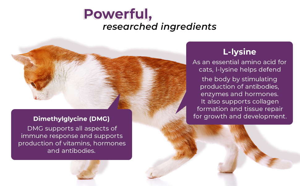 Powerful researched ingredients