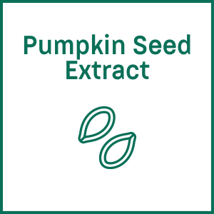 pumpkin seed extract and pumpkin seed icons