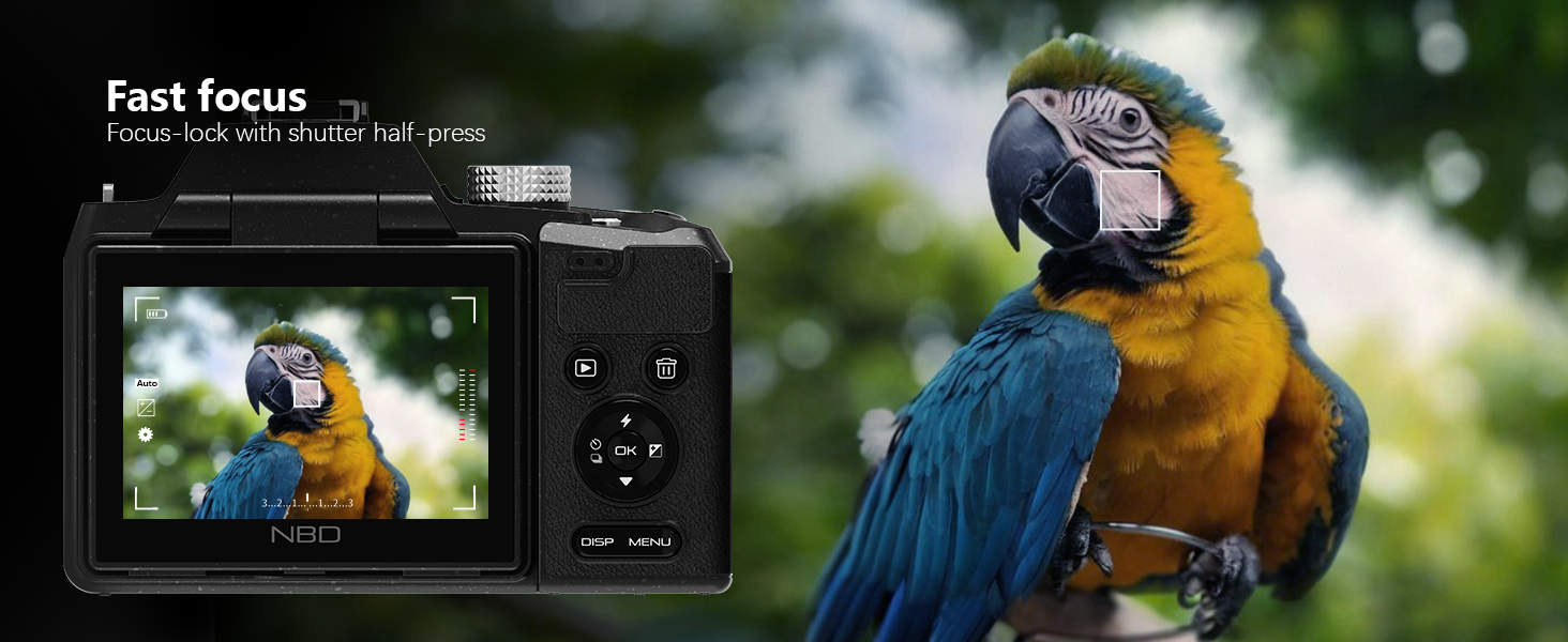 professional camera