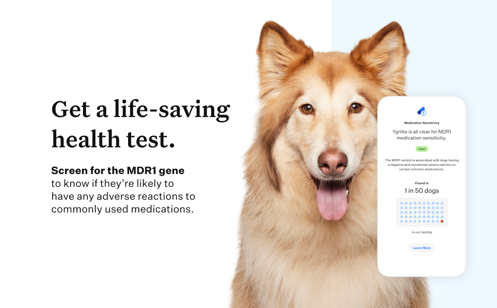 Get a life-saving health test. Screen for MDR1.