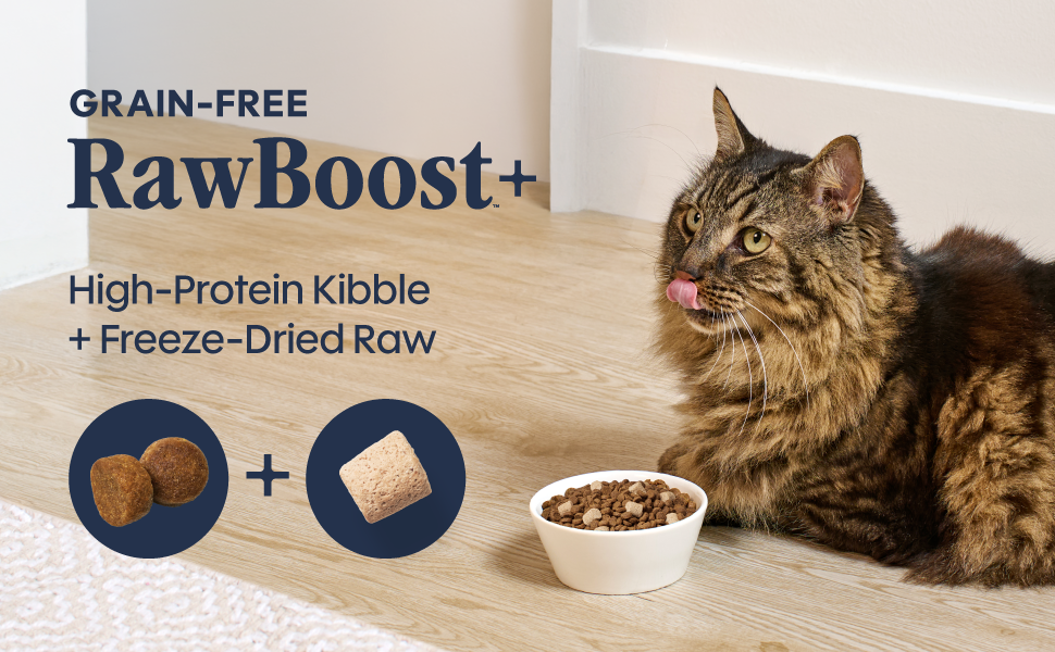 Insticnt Cat RawBoost Kibble+
