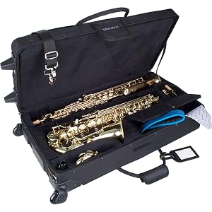 alto sax and soprano sax combination case with black interior