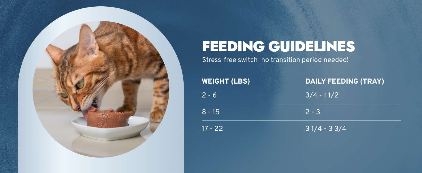 forza10 cat food