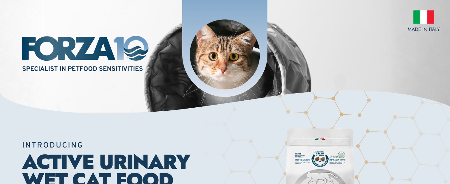 forza10 cat food