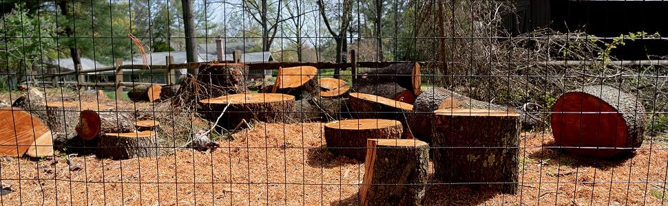 Welded Wire in front of chopped trees.