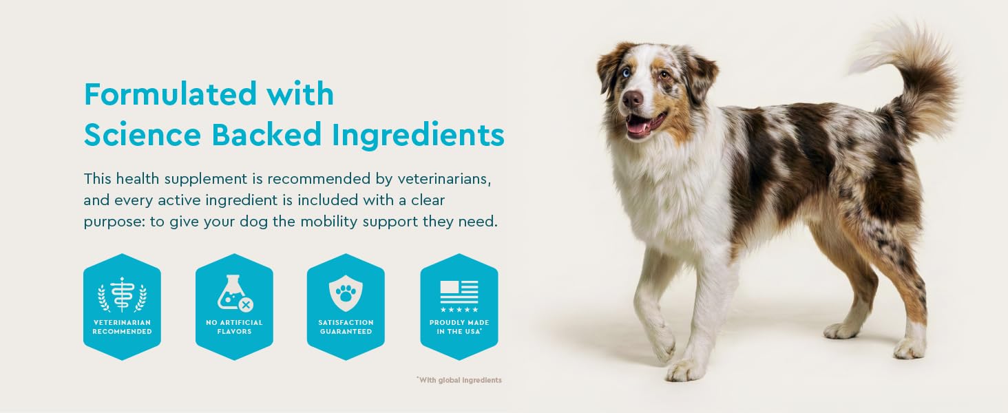 formulated with science backed ingredients vet recommended mobility support proudly made in USA