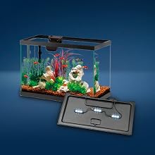 Aquarium tank with fish and plants with lid showing led lights on blue background