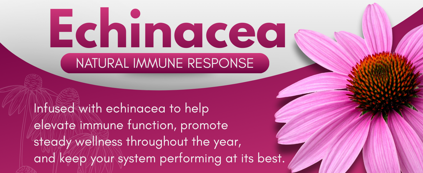 Echinacea ingredient graphic with pink echinacea flower on a purple background.
