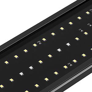 Bright LEDs