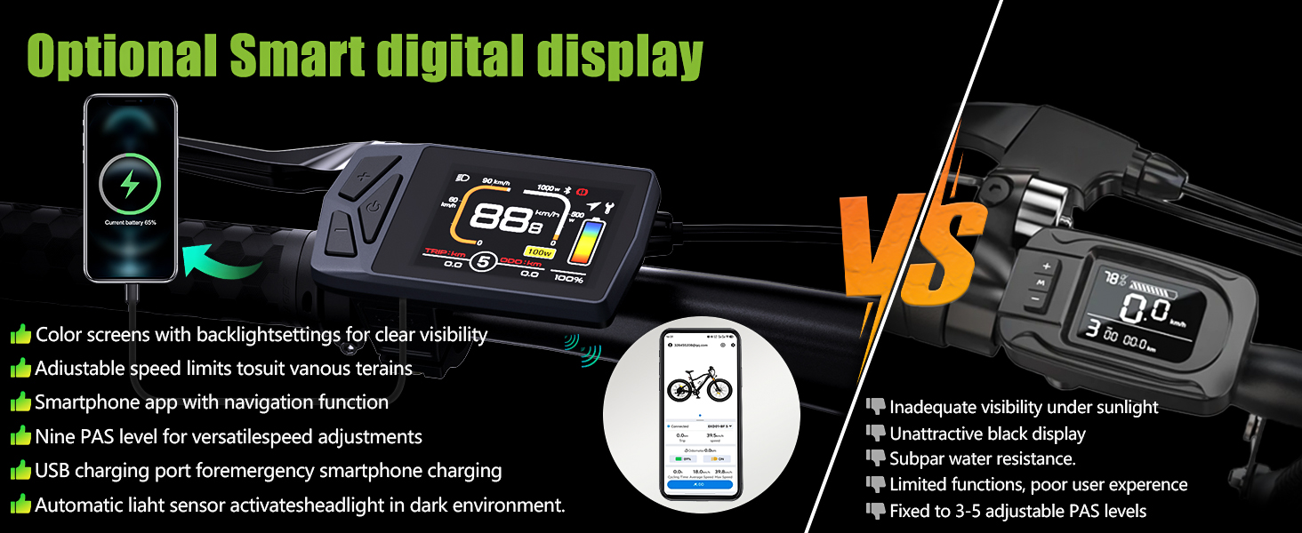 BAFANG DISPLAY