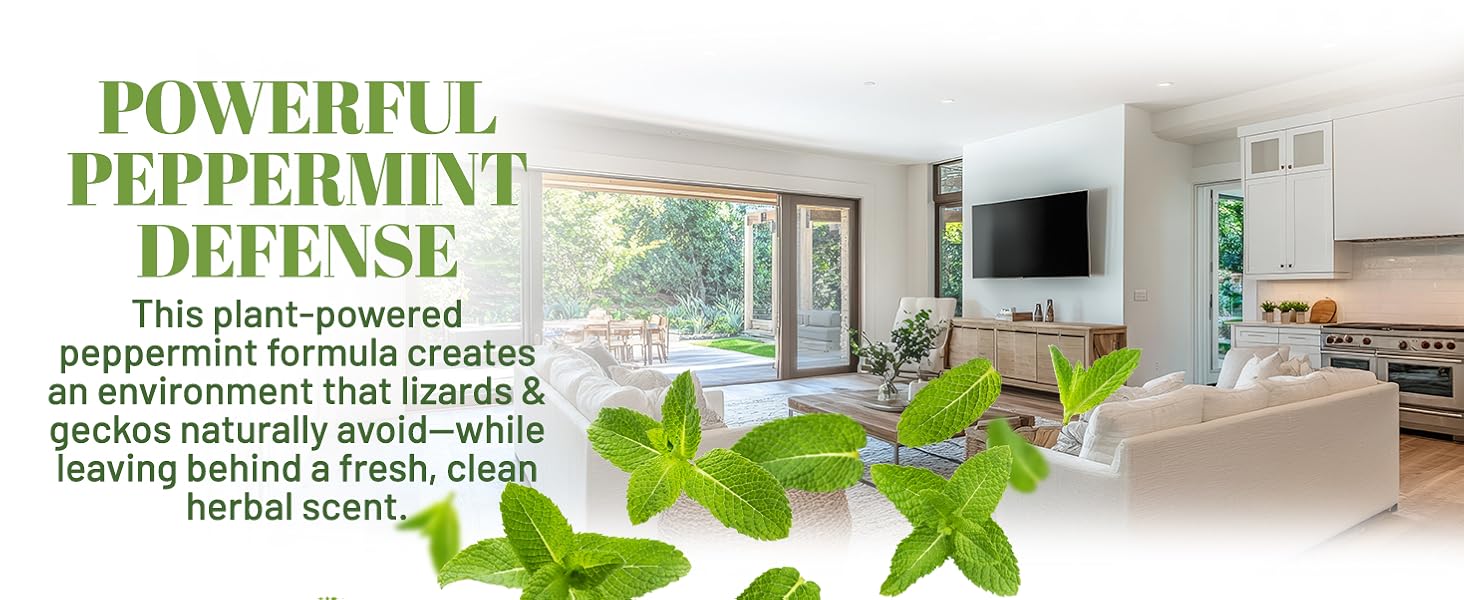 natural peppermint animal repellent spray