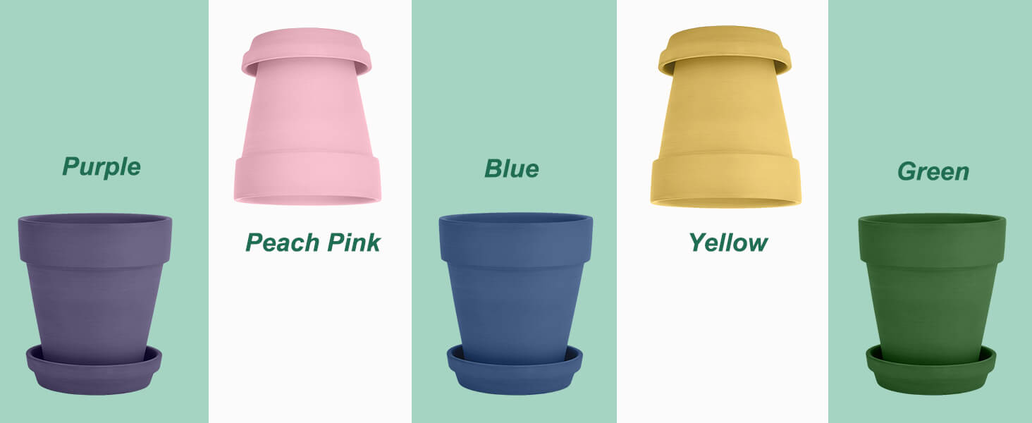 color pots