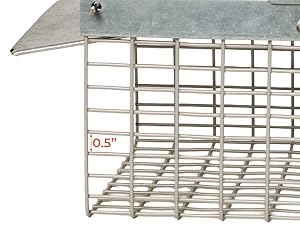 chipmonk traps