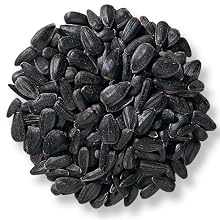 Black Oil Sunflower