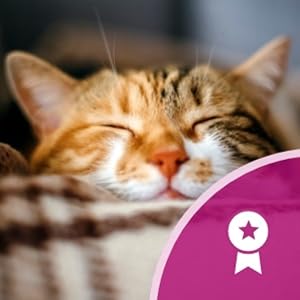 A content-looking orange cat with yes closed.
