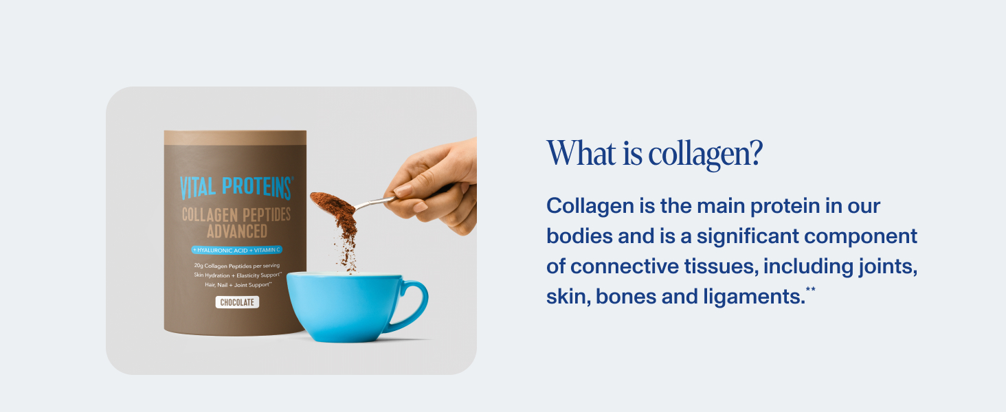 chocolate collagen peptides