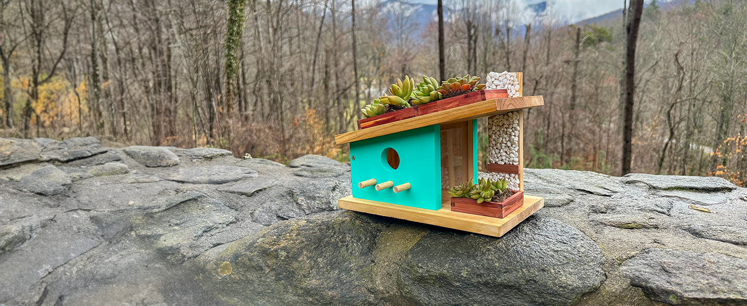 Craft a Modern Masterpiece: Sleek Birdhouse Kit
