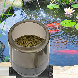 fish pond feeder