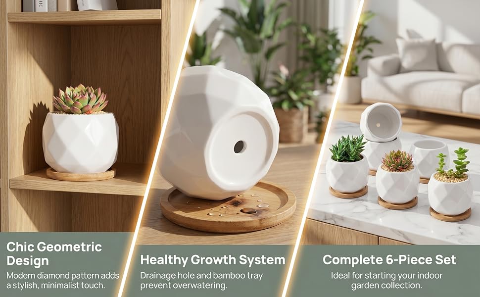 Succulent Planter Pot