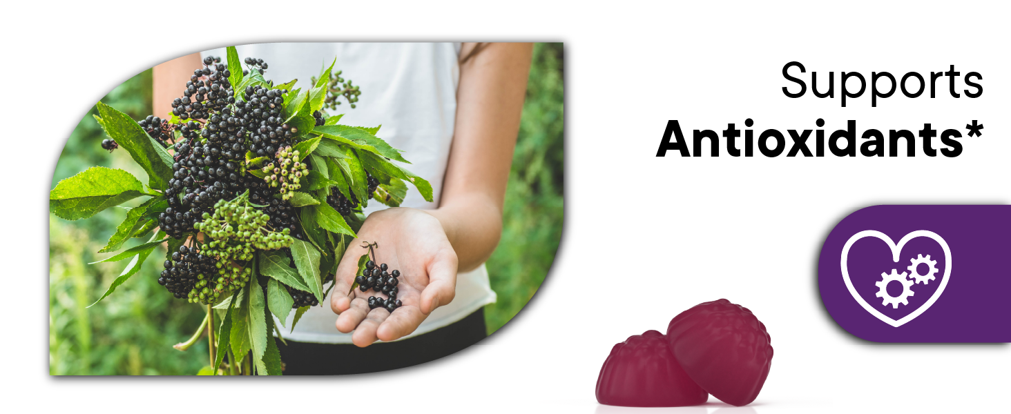immune support gummies elderberry zinc vitamin c health family antioxidants