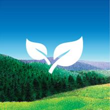 Celestial Seasonings - Seed