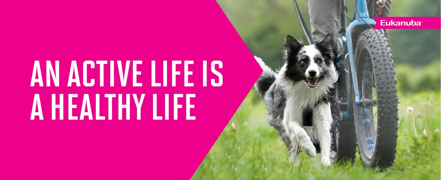 Eukanuba Adult Dog Food for active dogs