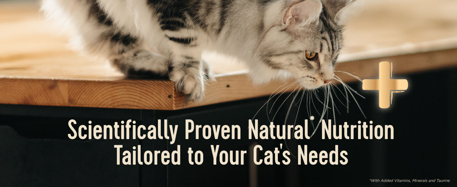 Scientifically Proven Natural Nutrition Tailored to Your Cat&amp;#39;s Needs
