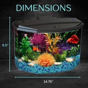 fish tank