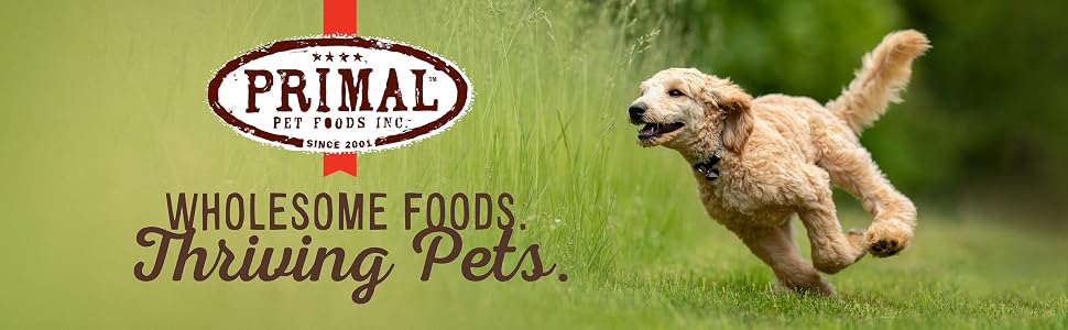primal freeze dried dog food