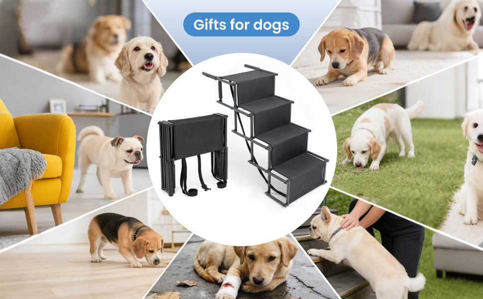 For dogs and Cats