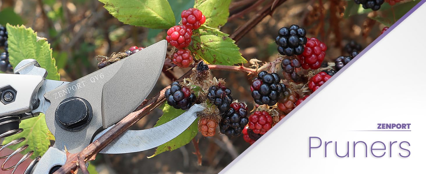 QV6 Pruning Shear