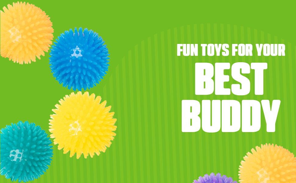 dog toy