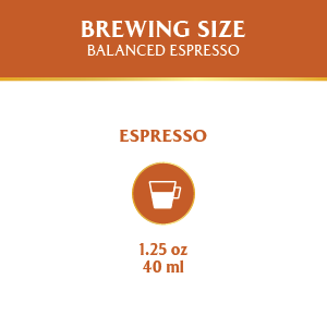 Roastesso Natural Caramel Flavored brew size Espresso Nespresso compatible original machines pod