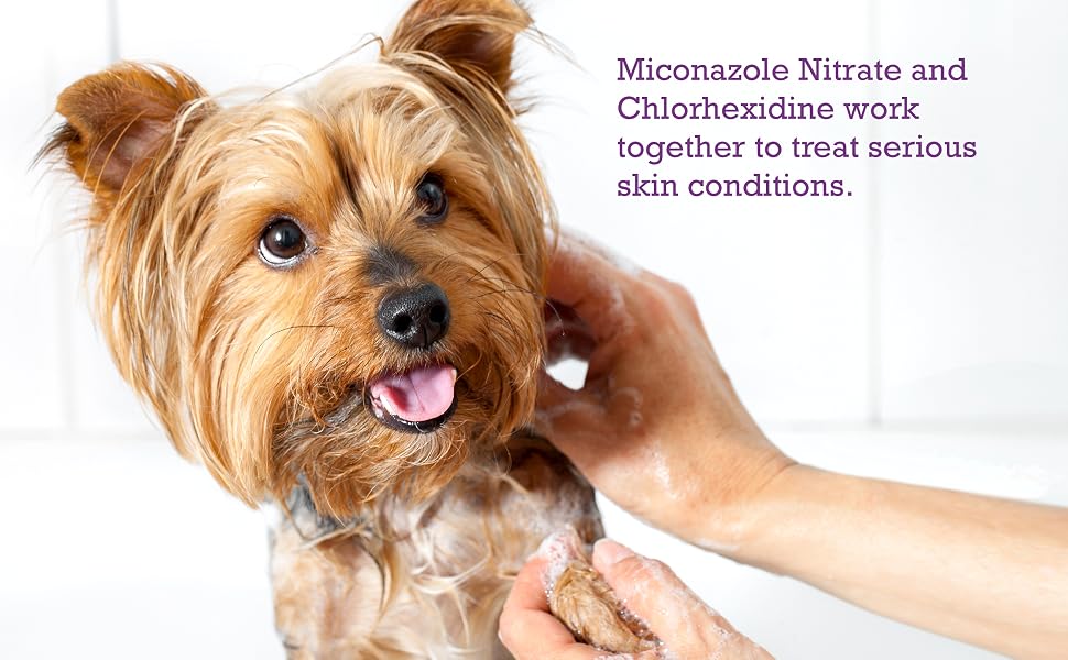 Pet MD Micoseb-CX Shampoo