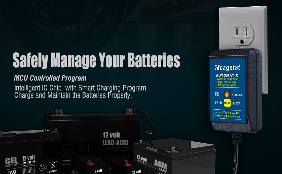 trickle charger for motorcycle
