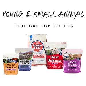 manna pro young and small animals