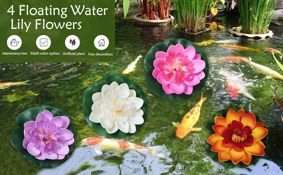 water lily
