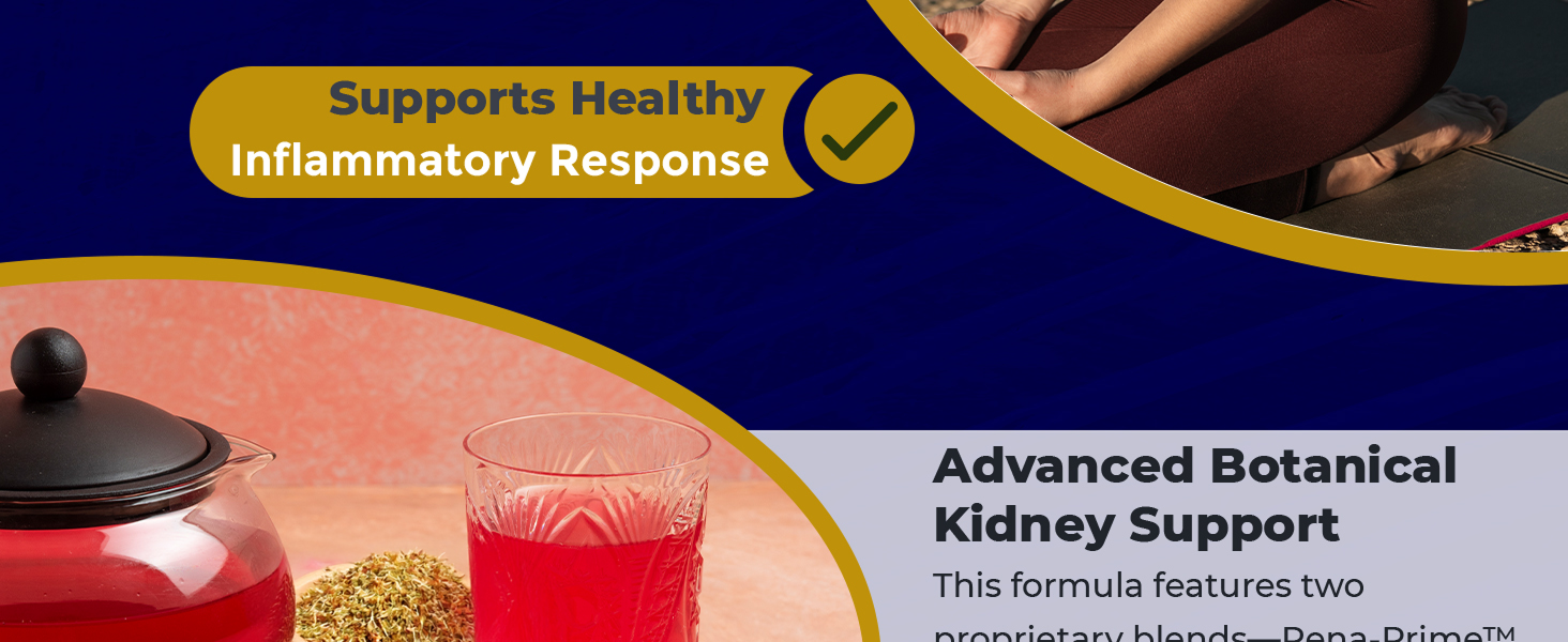 kidney cleanse detox repair support supplement health improve function best supplements vitamins