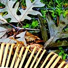Multi-Purpose for Leaves
