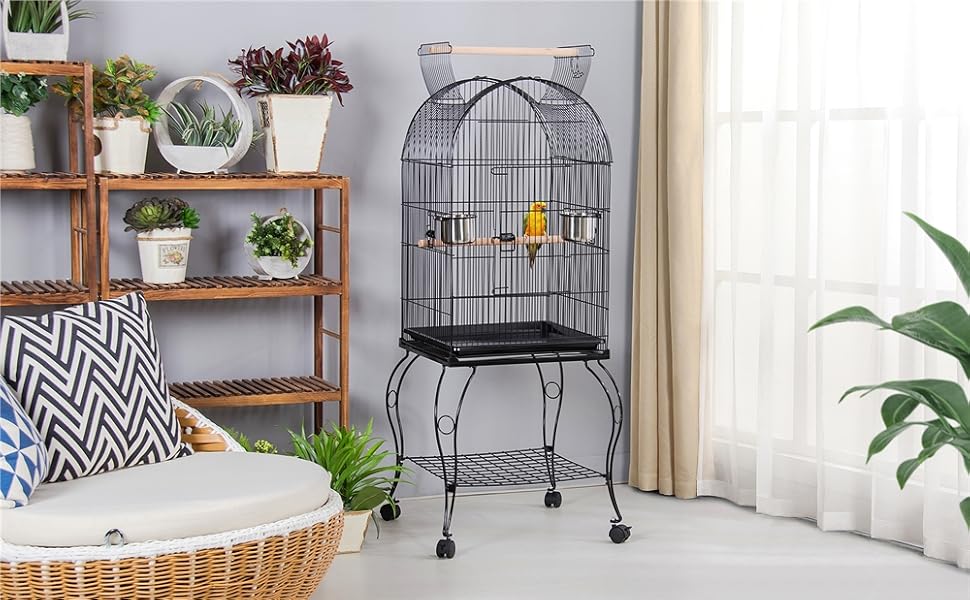 Bird Cage