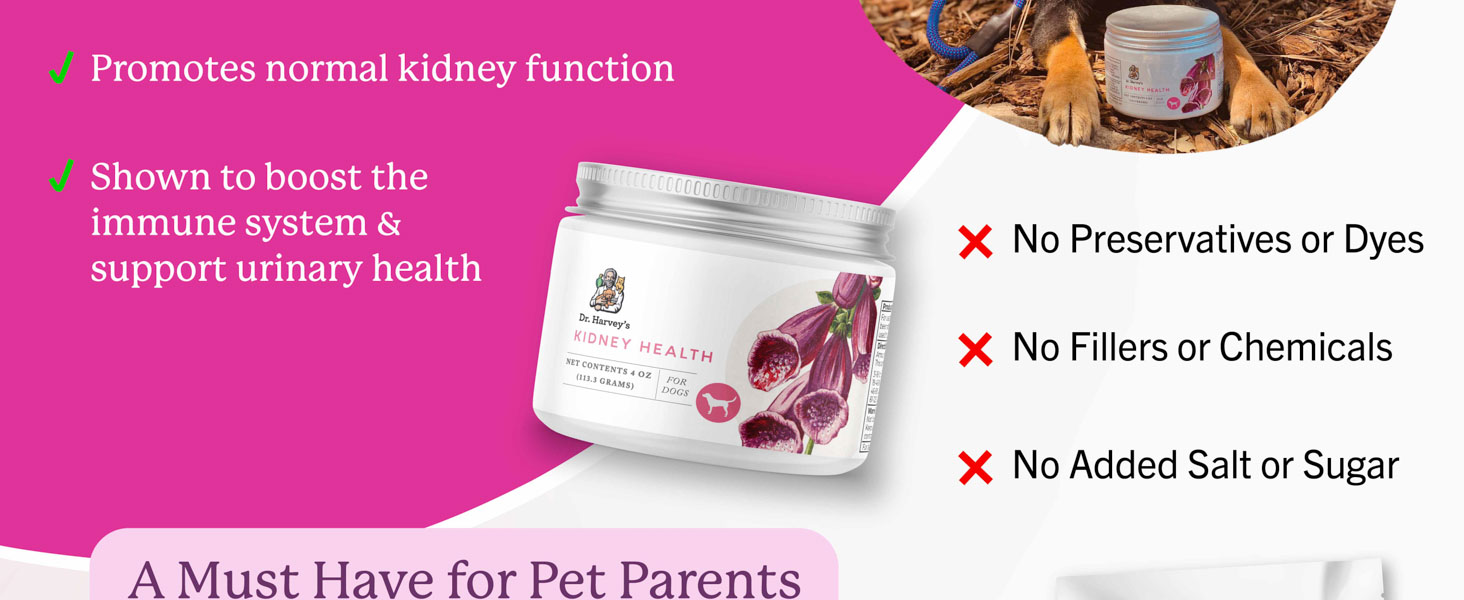 dr harveys kidney health support supplement for dogs herbal mushroom supplement natural immune