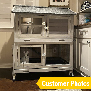 bunny cage