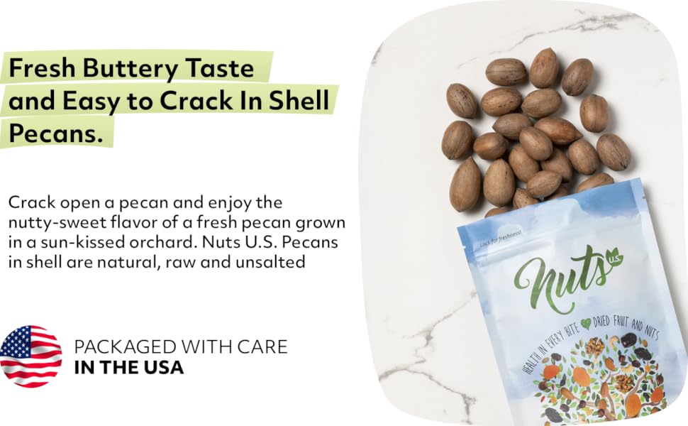 in shell fresh pecans