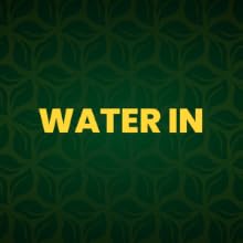 water in