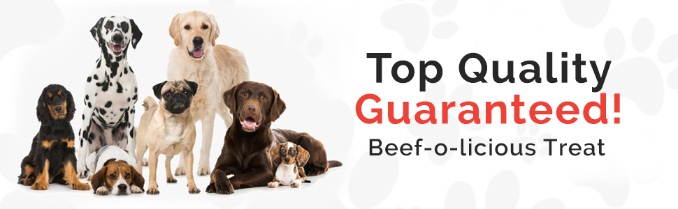 training dog treats dog treat bags real meat dog treats pet treats treats for dogs beef no sugar