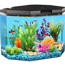 koller products aquarium fish tank