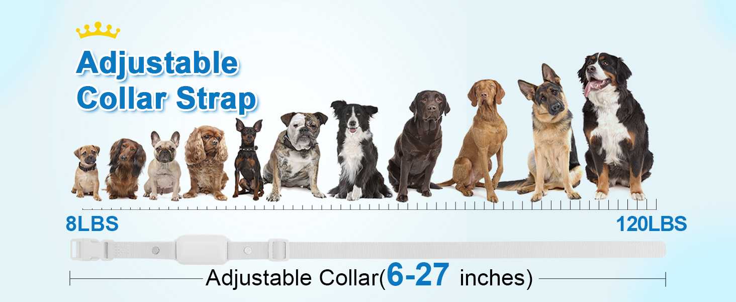 Adjustable Strap