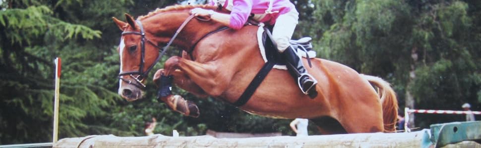 An equestrian show jumping scene showing a chestnut horse and rider clearing a horizontal pole obstacle, with green trees in the background.