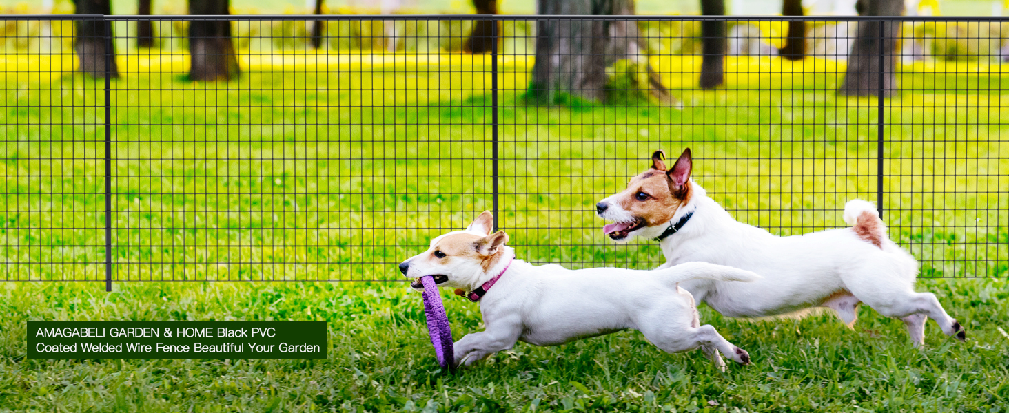 wire fence